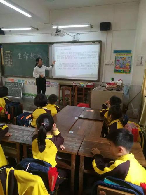 重庆小学爆料事件视频最新,惊人内幕曝光，家长震惊不已