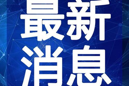 天津大勇最新视频爆料,最新视频爆料背后的惊人真相